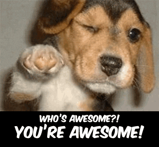 whoawesome